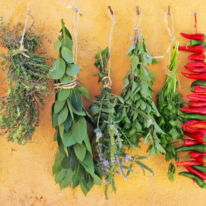How to Dry Your Own Herbs and Spices America's Test Kitchen